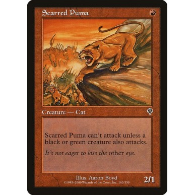 Scarred Puma