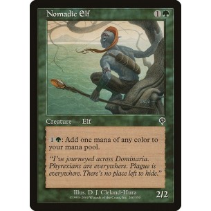 Nomadic Elf