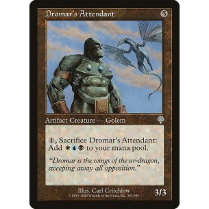 Dromar's Attendant