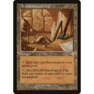Archaeological Dig