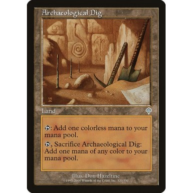Archaeological Dig