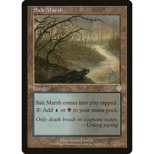 Salt Marsh