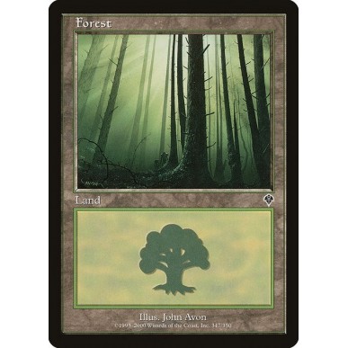 Forest