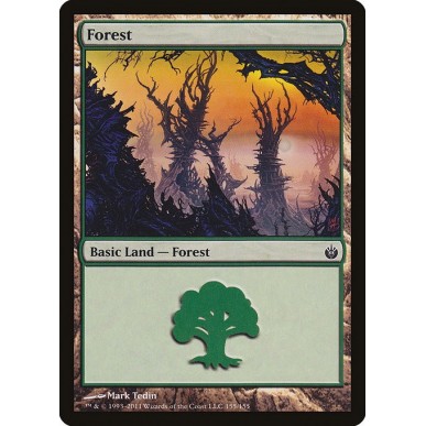 Forest