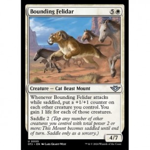 Bounding Felidar