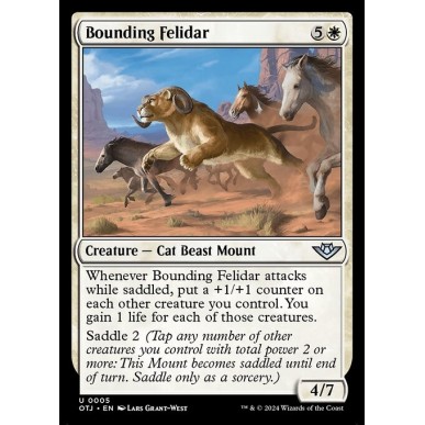 Bounding Felidar
