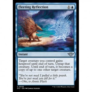 Fleeting Reflection