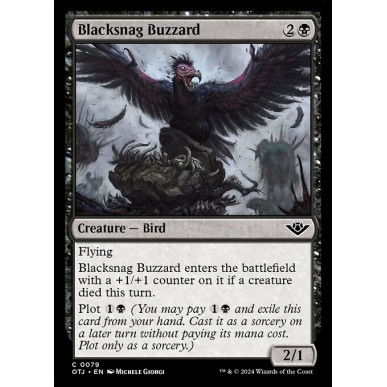 Blacksnag Buzzard