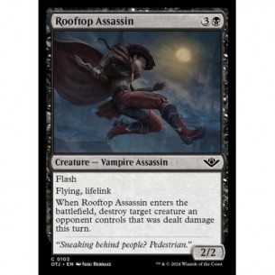 Rooftop Assassin