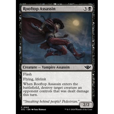 Rooftop Assassin
