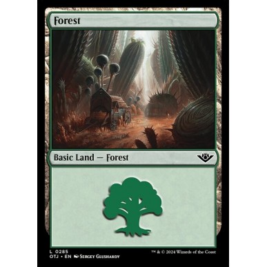 Forest