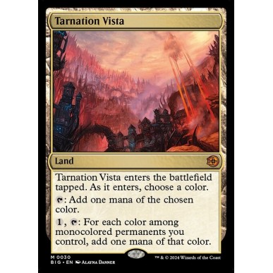 Tarnation Vista