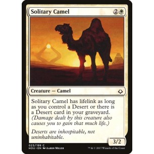 Cammello Solitario