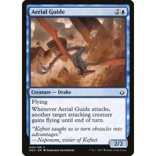 Guida Aerea