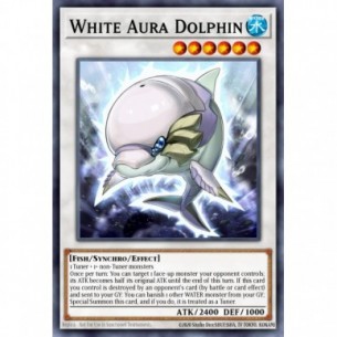 White Aura Dolphin