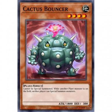 Cactus Bouncer