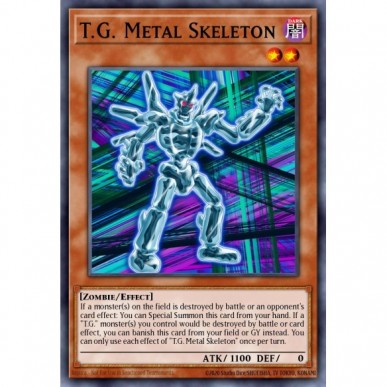 T.G. Metal Skeleton