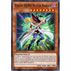 Vision HERO Witch Raider