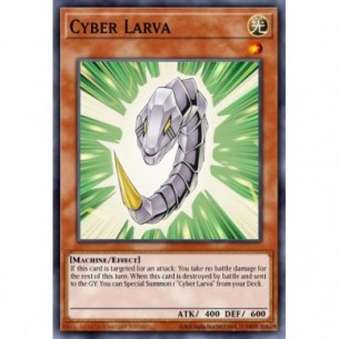 Cyber Larva