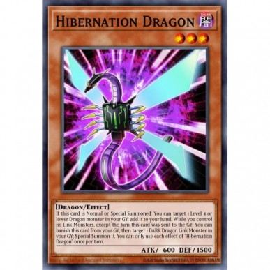 Hibernation Dragon