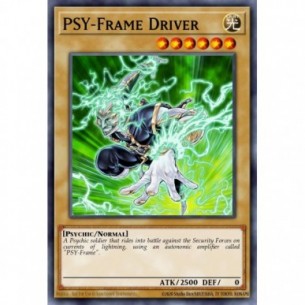 PSI-Struttura Pilota