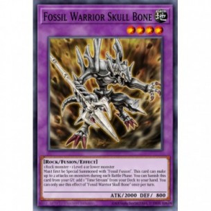 Fossil Warrior Skull Bone