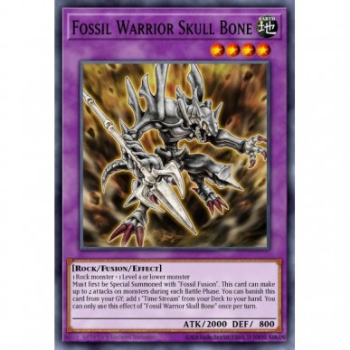 Fossil Warrior Skull Bone