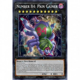 Number 84: Pain Gainer