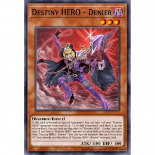 Destiny HERO - Denier