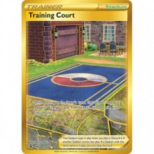Training Court