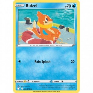 Buizel