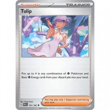 Tulip