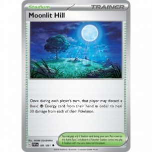 Moonlit Hill