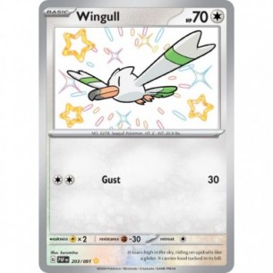 Wingull