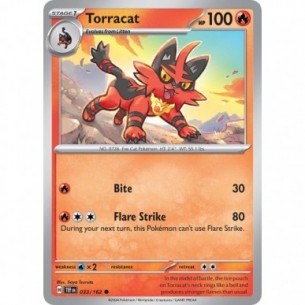Torracat