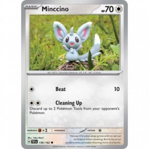 Minccino