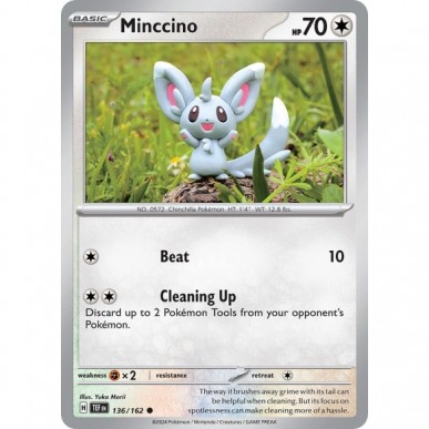 Minccino