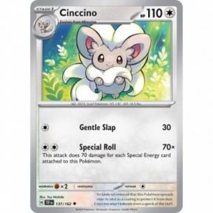 Cinccino
