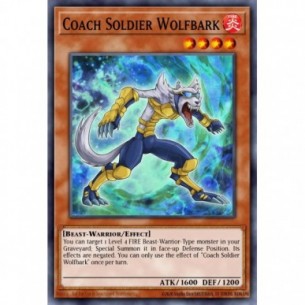 Coach Soldier Wolfbark