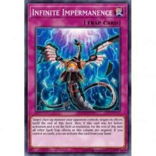 Infinite Impermanence