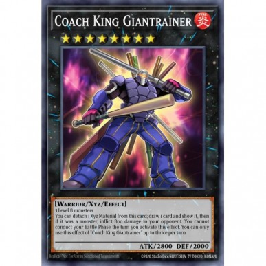 Coach King Giantrainer