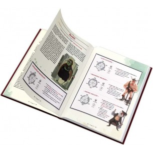 One More Quest - Manuale Base 2