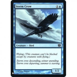 Storm Crow