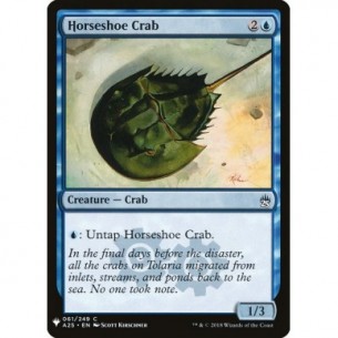 Horseshoe Crab