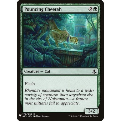 Pouncing Cheetah