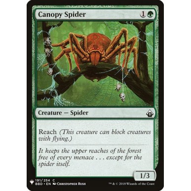 Canopy Spider