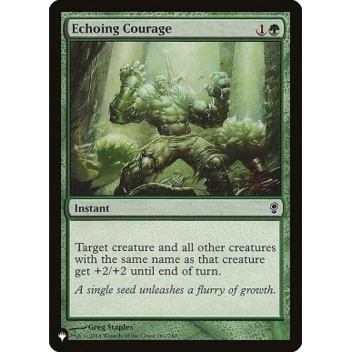 Echoing Courage