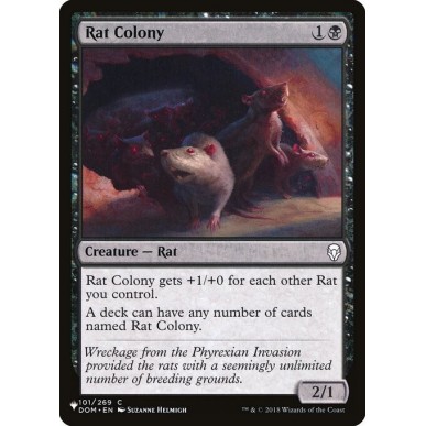 Rat Colony
