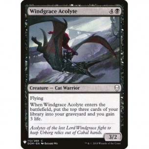 Windgrace Acolyte