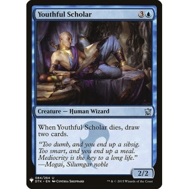 Youthful Scholar